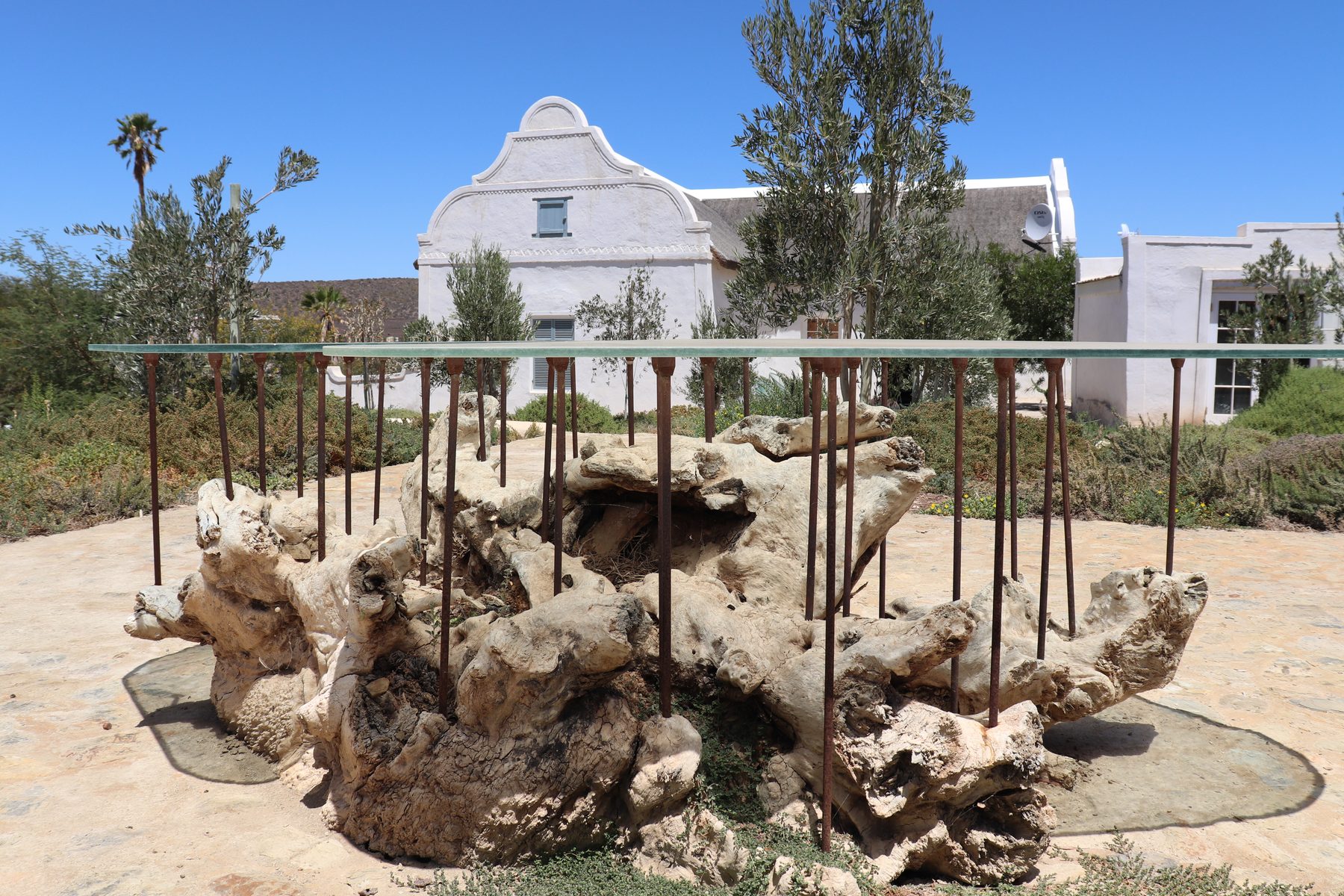 Buffelsdrift — glass table on rock, courtyard